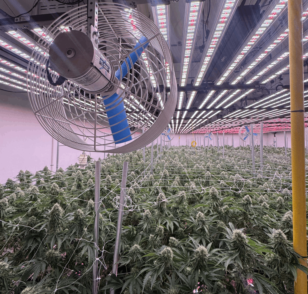 Grow Room - Ag Fan Systems